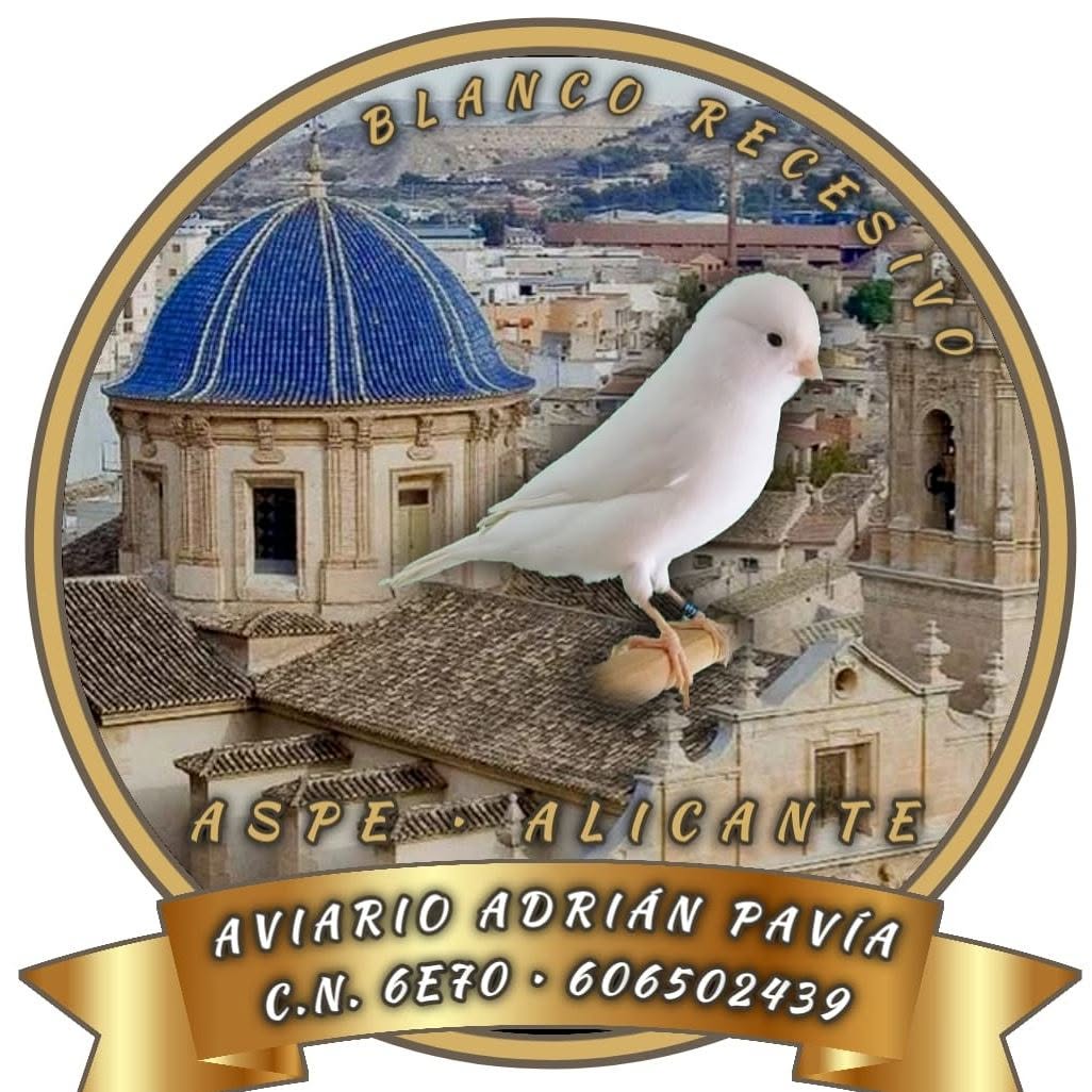 aviario adrian pavia