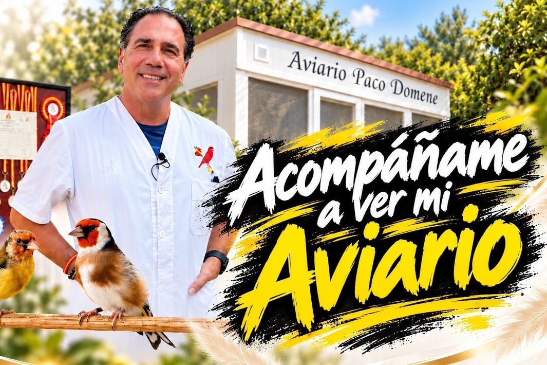 miniatura conoce aviario